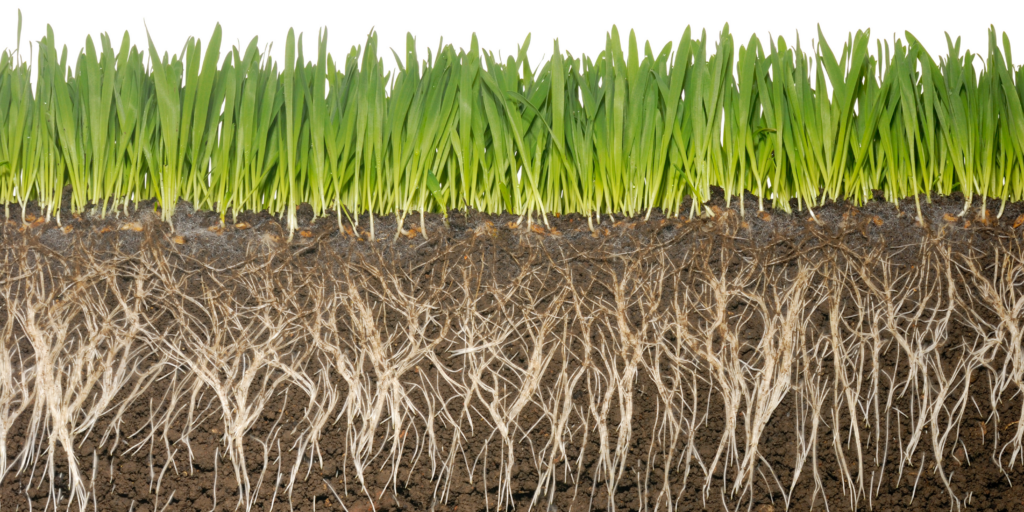 Lasers For Precision Agriculture & Food Safety Power Technology, Inc.