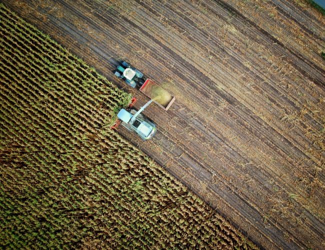 agricultural lasers and timber applications agricultural lasers and timber applications